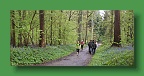 Hyacintenjogging (57)